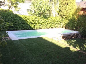 Jardín con piscina (10)